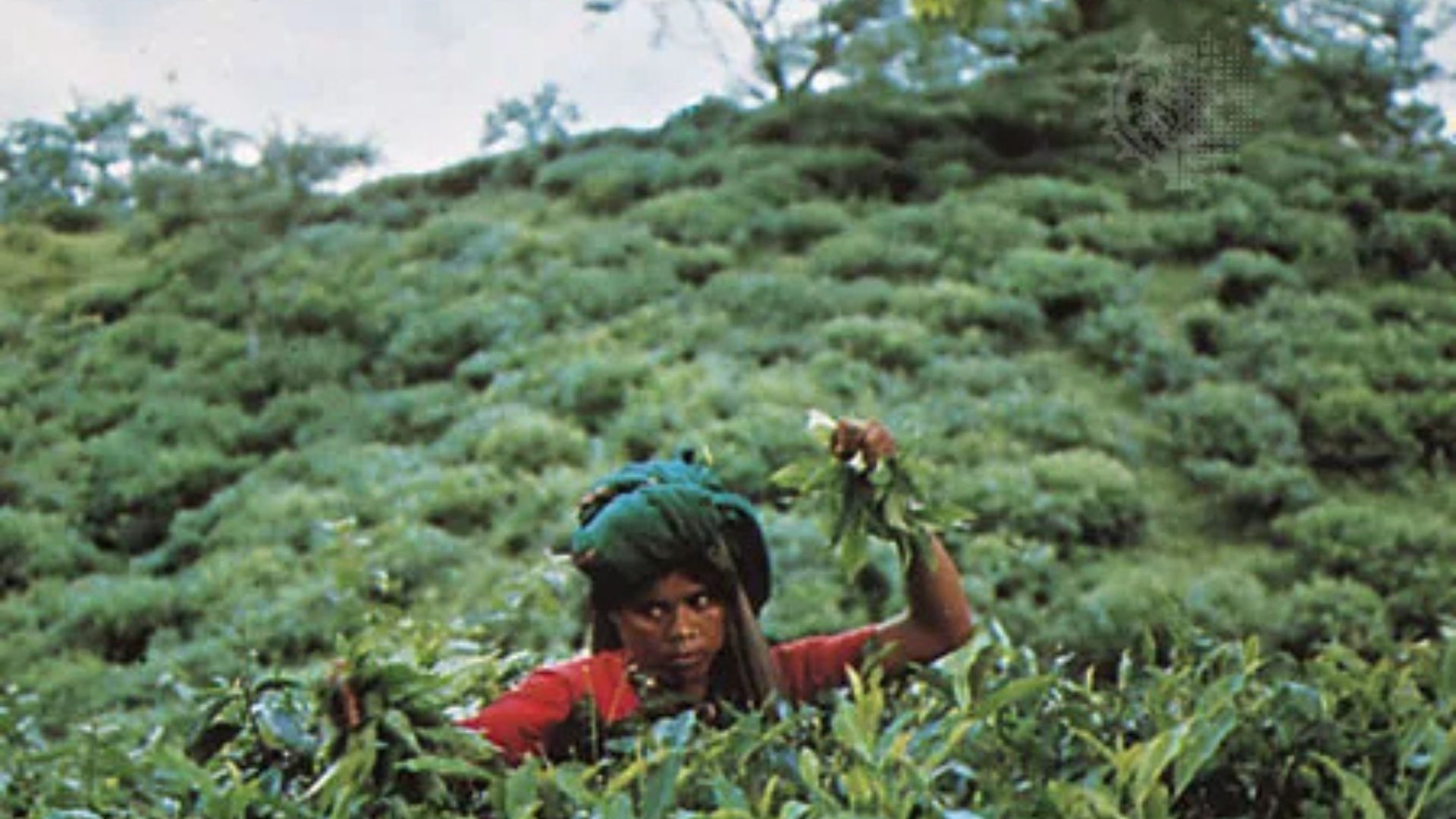 Dhaka to Sylhet